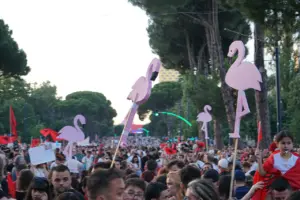 Flamingo Proteste Tirana Albanien