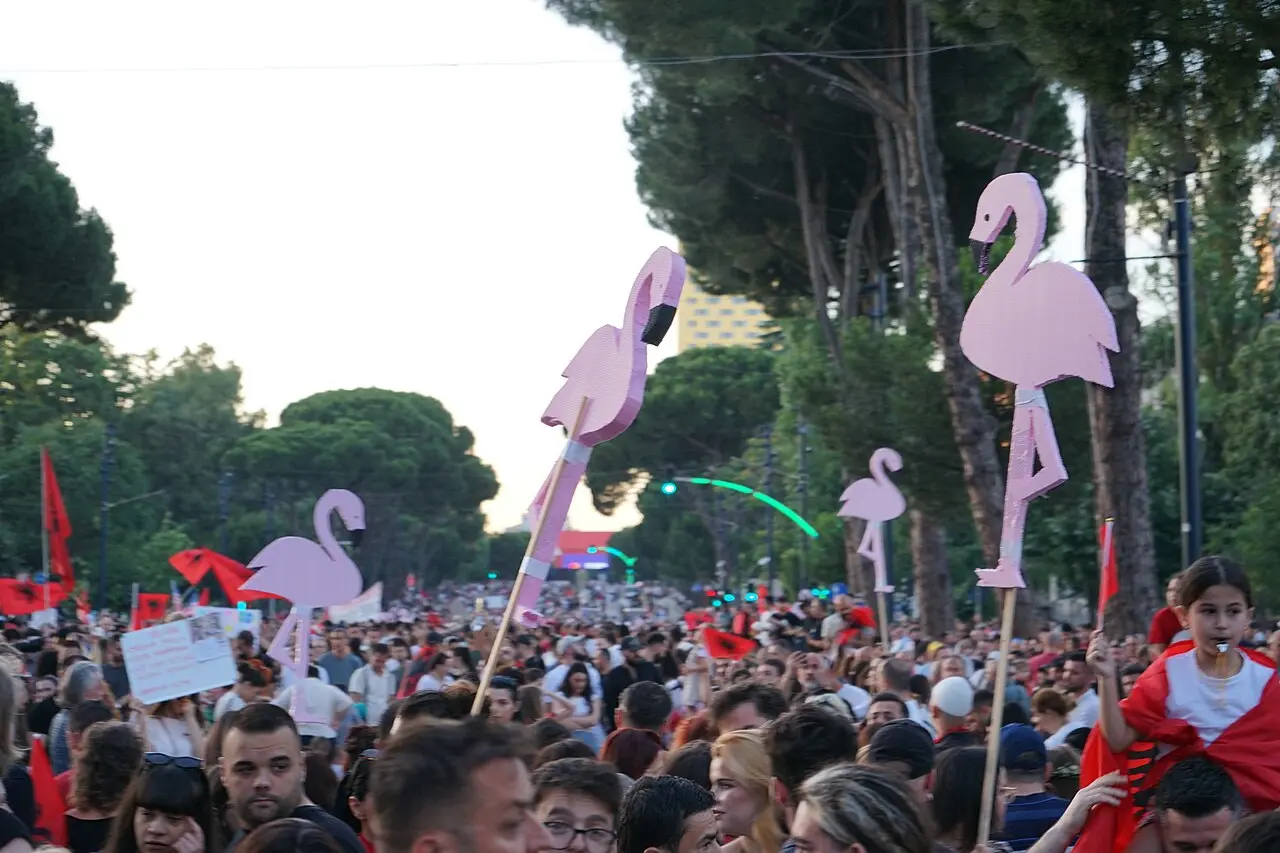 Flamingo Proteste Tirana Albanien