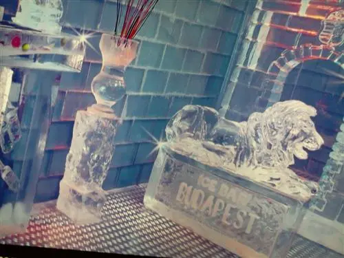 Mit Sicherheit die "coolste location": die Icebar in Budapest