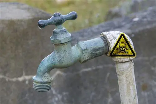 Arsen im Trinkwasser: der Weihnachtsmann bringt Ungarn sauberes Wasser