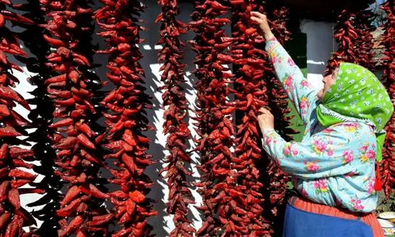 Nationalpulver in (gelber) Gefahr: Ungarns Paprika verkauft sich immer schlechter