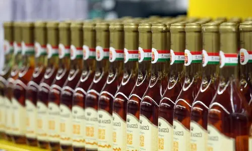 Pancsolták: Staatliches Weinhaus im Tokaj setzt Lieferungen wegen Panschvorwürfen aus